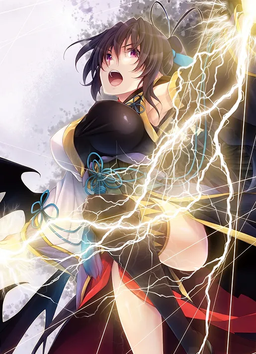 Akeno Himejima (Light Novel)