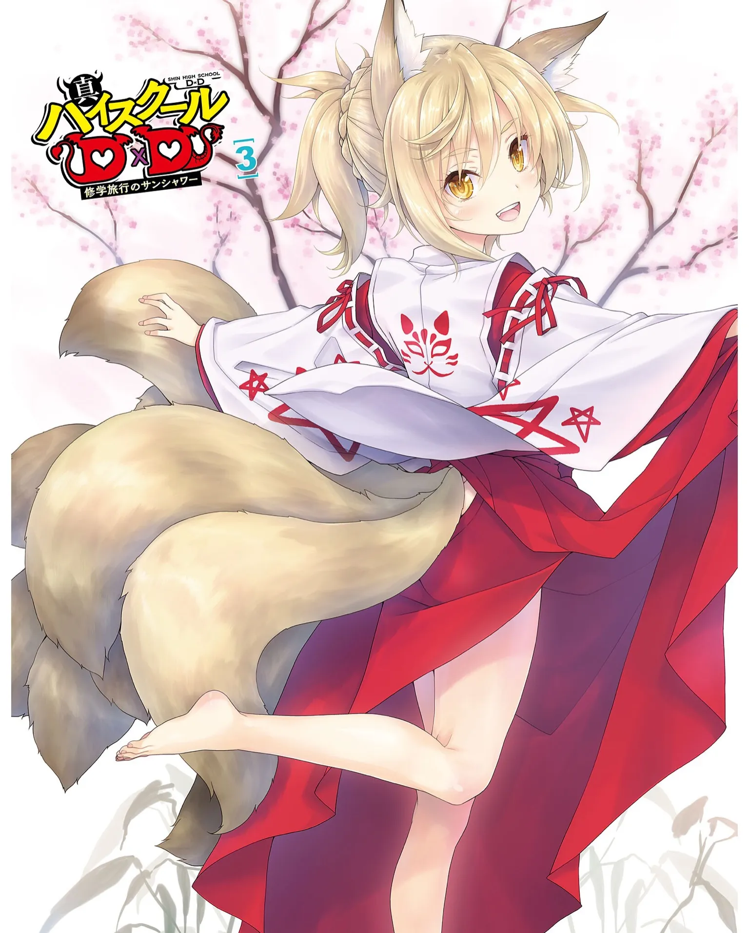 Shin High School DxD – Tome 3 – Couverture